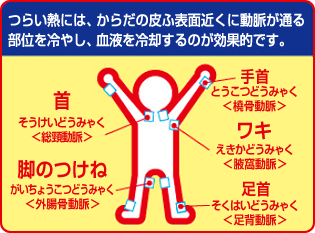 �炢�M�ɂ́A���炾�̔�ӕ\�ʋ߂��ɓ������ʂ镔�ʂ��₵�A���t���p����̂����ʓI�ł��B