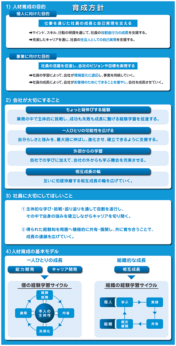 『育成方針』の図解。人材育成の目的（個人：仕事を通じた成長と自己実現の支援／事業：社員の活躍でビジョン・目標を実現）、会社が大切にすること（『ちょっと背伸びする経験』『一人ひとりの可能性を広げる』『外部からの学習』『相互成長の輪』）、社員への期待（主体的な学び・挑戦・振り返り、経験知の共有）と、個人と組織の経験学習サイクルのモデル図を示す。
