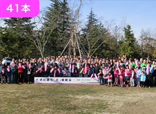 2015年　多賀城緩衝緑地