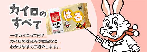 カイロのすべて