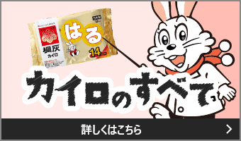 カイロのすべて