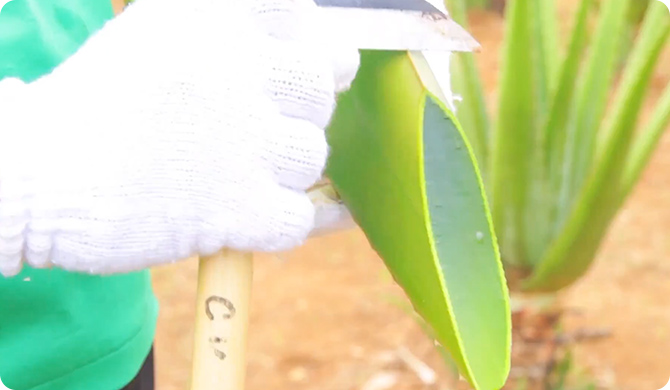 アロウェルのこだわり イメージ画像1