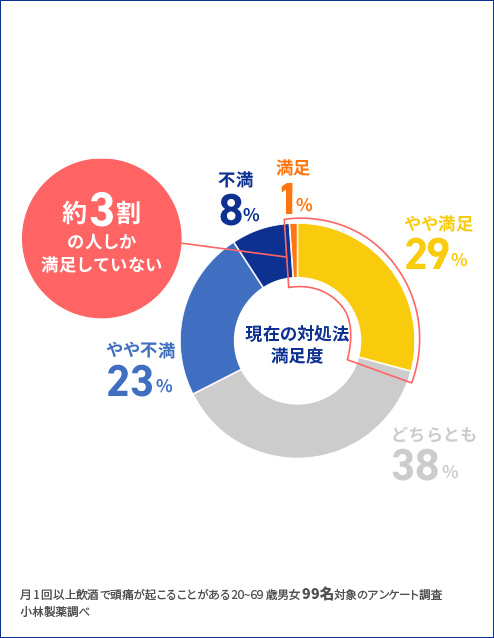現在の対処法満足度