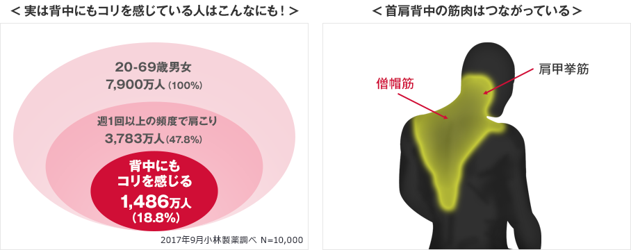 背中にもコリを感じている人は20歳-69歳の男女では18%以上。首・肩・背中の筋肉はつながっています