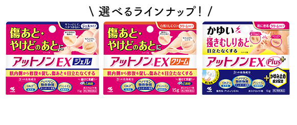 選べるラインナップ！