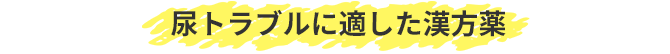 尿トラブルに適した漢方薬