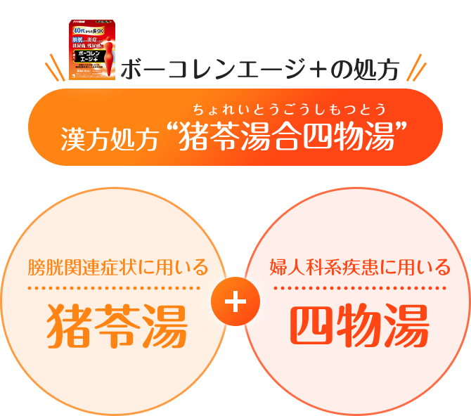 ボーコレンエージ＋の処方 漢方処方“猪苓湯合四物湯（ちょれいとうごうしもつとう）” 膀胱関連症状に用いる猪苓湯＋婦人科系疾患に用いる四物湯