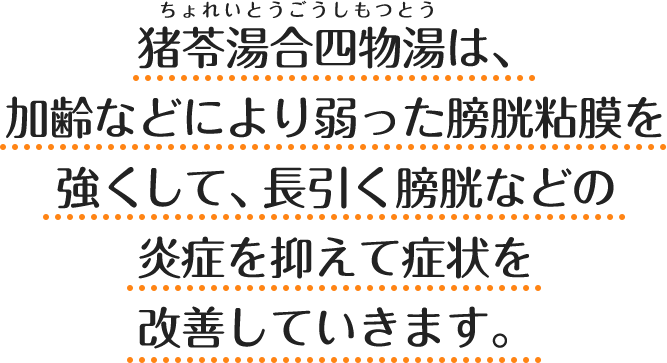 猪苓湯合四物湯（ちょれいとうごうしもつとう）は、加齢などにより弱った膀胱粘膜を強くして、 長引く膀胱などの炎症を抑えて症状を改善していきます。