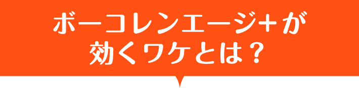 ボーコレンエージ+ が効くワケとは？