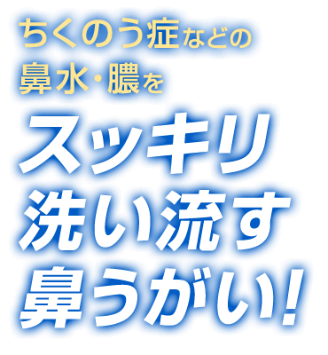 ちくのう症 蓄膿症 副鼻腔炎対策に チクナイン鼻洗浄 小林製薬