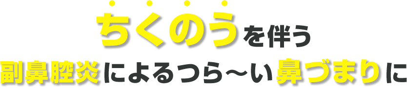 ちくのうを伴う副鼻腔炎によるつら~い鼻づまりに
