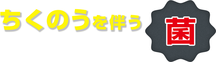 ちくのうを伴う副鼻腔炎の原因は菌