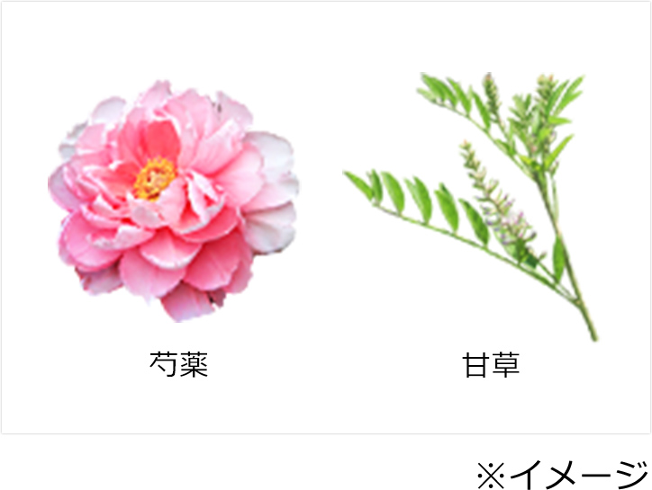 芍薬と甘草のイメージ
