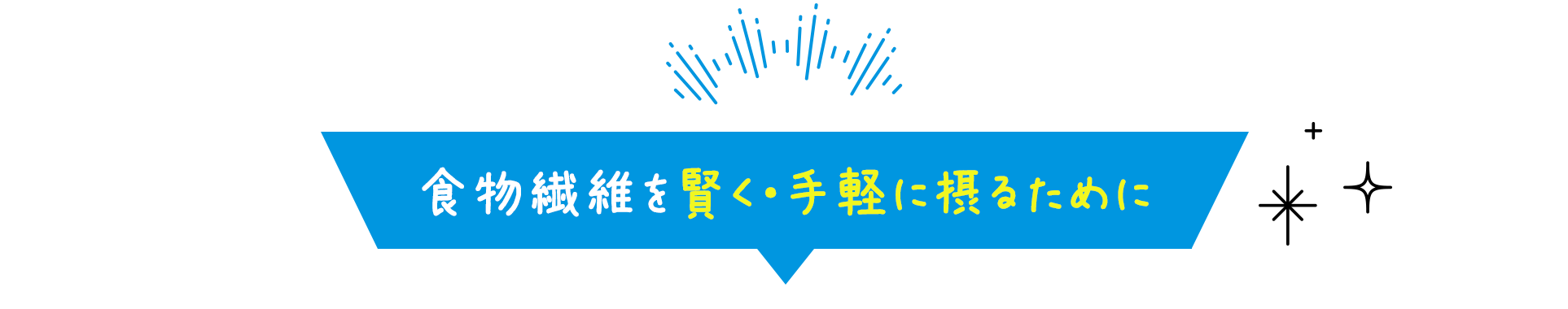 食物繊維を賢く・手軽に摂るために