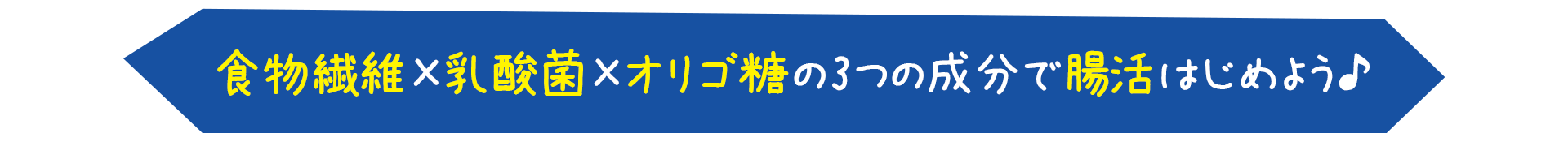 善玉菌率＊を増やし、腸内環境を整える!＊ビフィズス菌 販売名：イージーファイバー乳酸菌プレミアム 個包装タイプ ／ 届出番号：E823 機能性表示食品 名称：食物繊維・乳酸菌・オリゴ糖配合食品