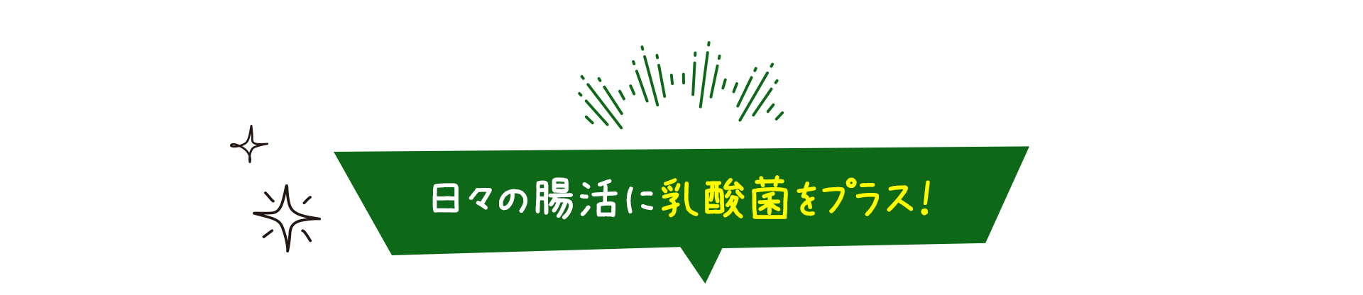 日々の腸活に乳酸菌をプラス！