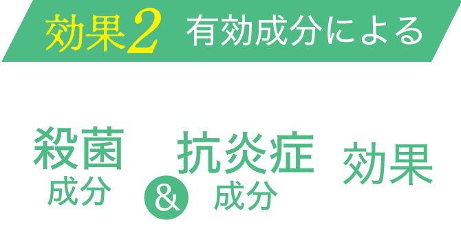 2 Lɂ E   R  