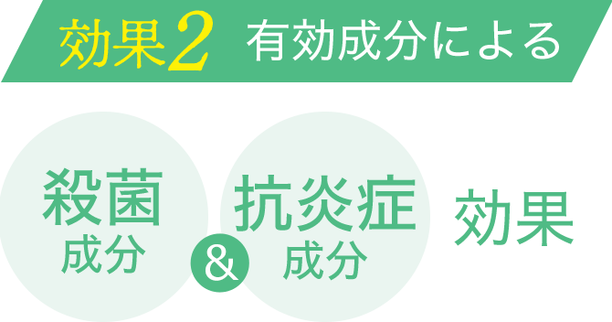 ����2 �L�������ɂ�� �E�� ���� �� �R���� ���� ����