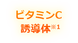 �r�^�~��C�U���́�1