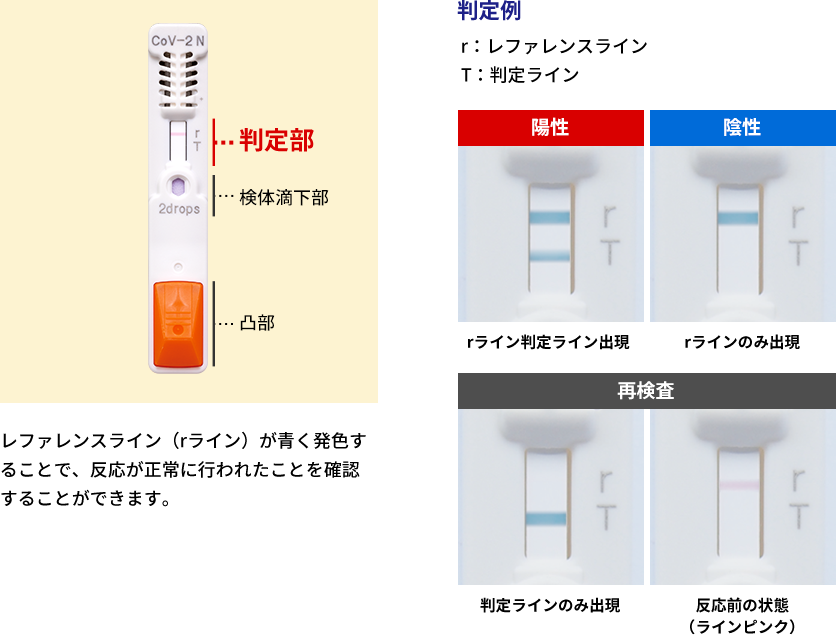 レファレンスライン（rライン）が青く発色することで、反応が正常に行われたことを確認することができます。判定例イメージ画像