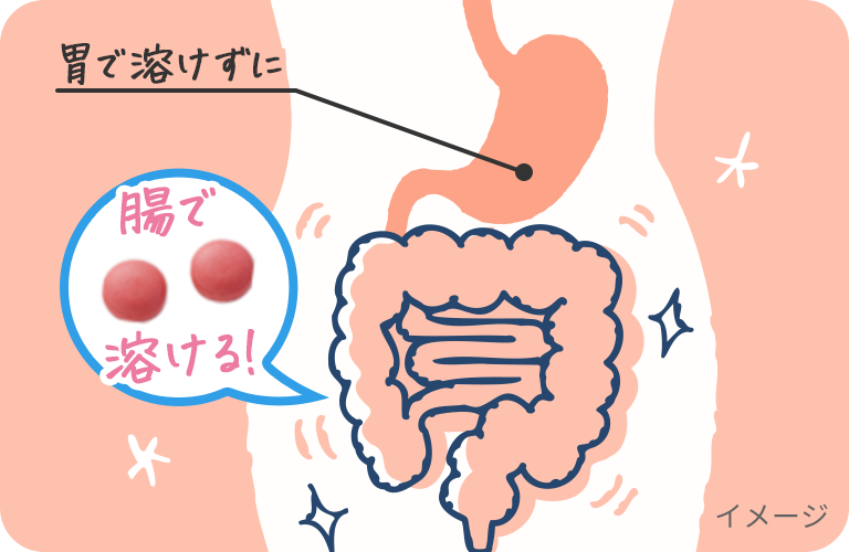 胃で溶けずに腸で溶ける　イメージ