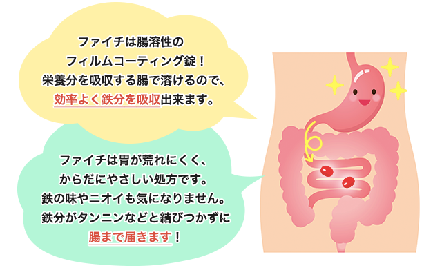 「ファイチ」は腸まで届く処方でしっかり吸収!