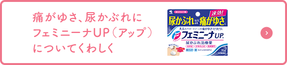 痛がゆさ、尿かぶれにフェミニーナUP（アップ）についてくわしく