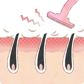 イラスト：カミソリ
