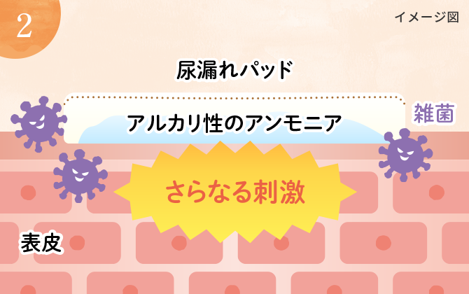 イメージ図