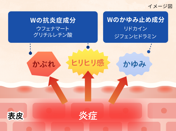 イメージ図