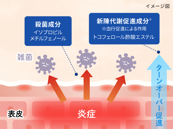 イメージ図