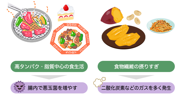 高タンパク・脂質中心の食生活 / 食物繊維の摂りすぎ