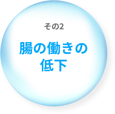 その２ 腸の働きの低下