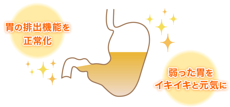 胃の排出機能を正常化 弱った胃をイキイキと元気に
