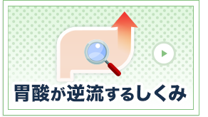 �ݎ_���t�����邵����