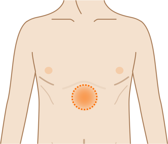 みぞおちとは肋骨の下、上腹部の中央のくぼんだあたりを指します。
