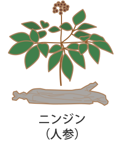 �j���W���i�l�Q�j