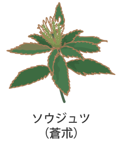 �\�E�W���c�i���Q�j