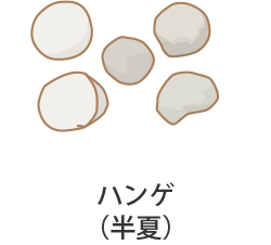 �n���Q�i���āj