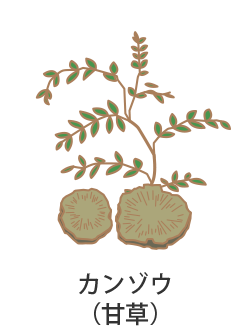 �J���]�E�i�Ñ��j