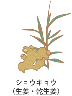 �V���E�L���E�i���I�E�����I�j