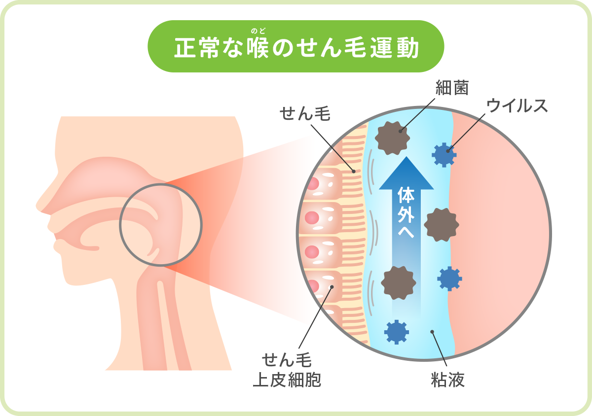 正常な喉のせん毛運動