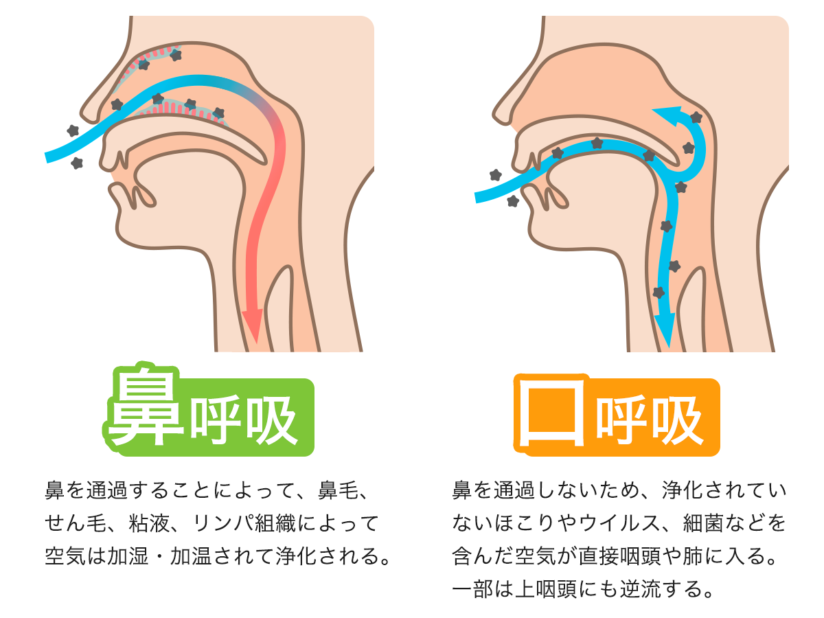 鼻呼吸 / 口呼吸