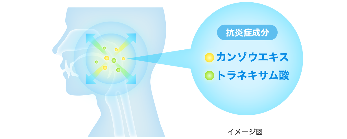2つの抗炎症成分が内側からしっかりと扁桃腺のはれを鎮める