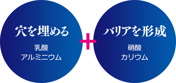 穴を埋める 乳酸アルミニウム＋バリアを形成 硝酸カリウム