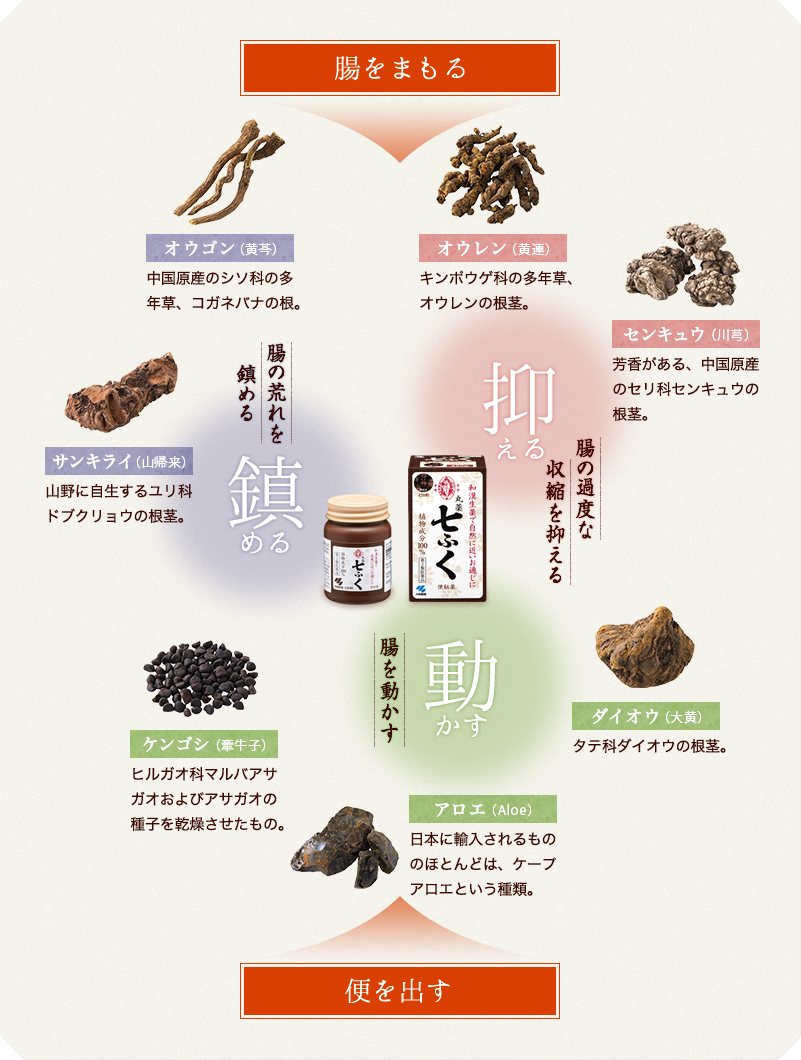 y͂炫Fzy͂炫Fւoz