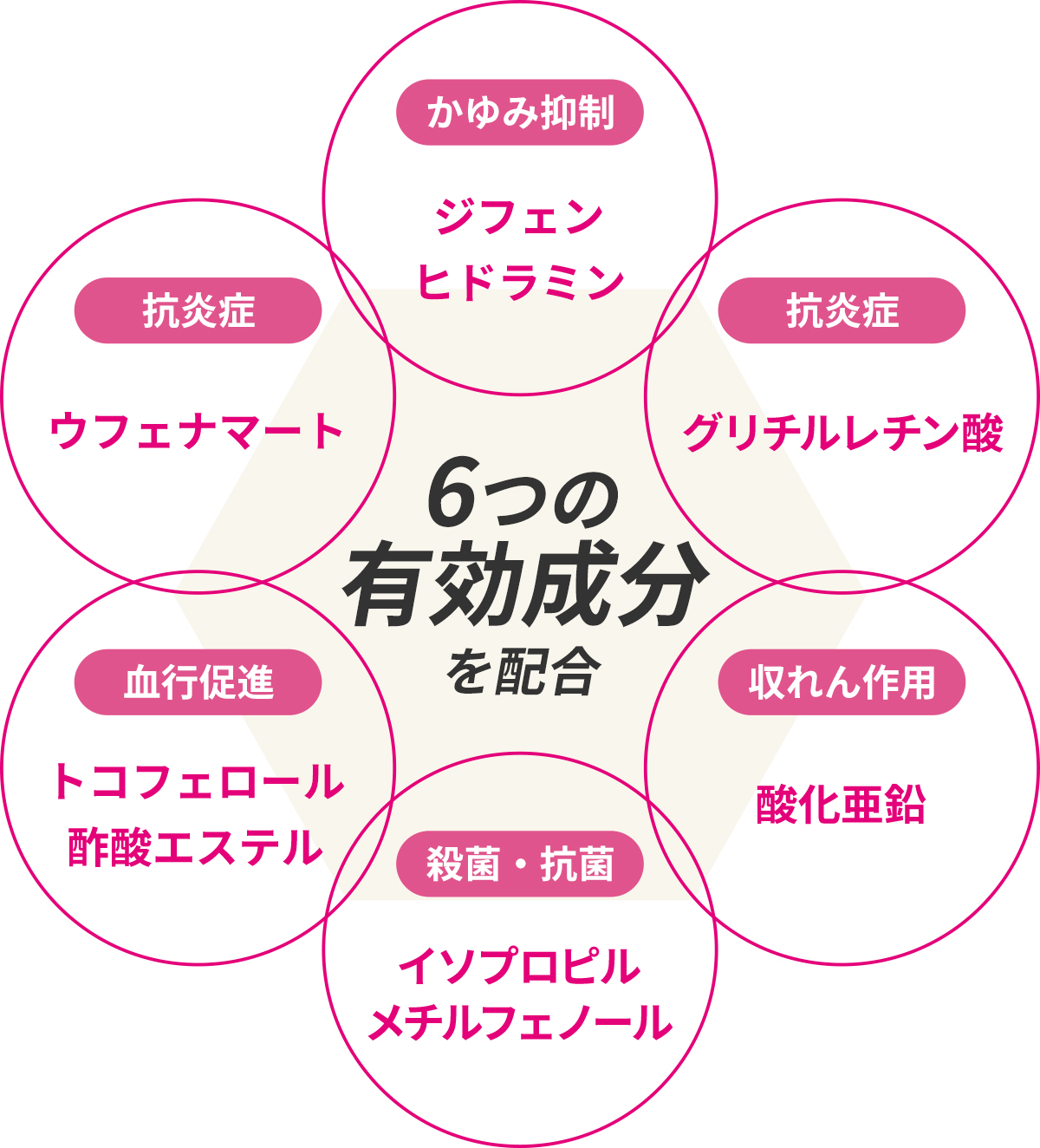 6つの有効成分