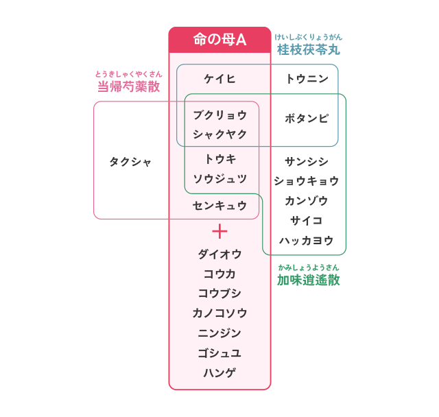 3大婦人薬の構成図
