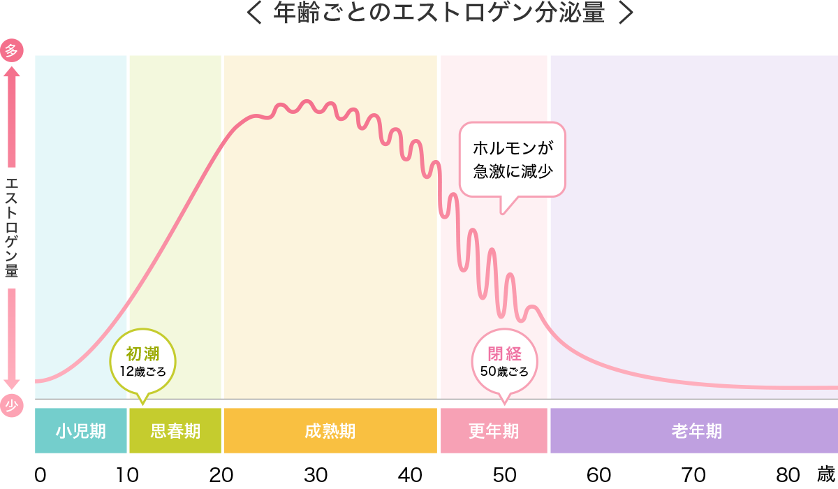 年齢ごとのエストロゲン分泌量