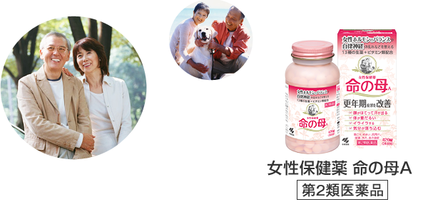 女性保健薬 命の母A 第2類医薬品